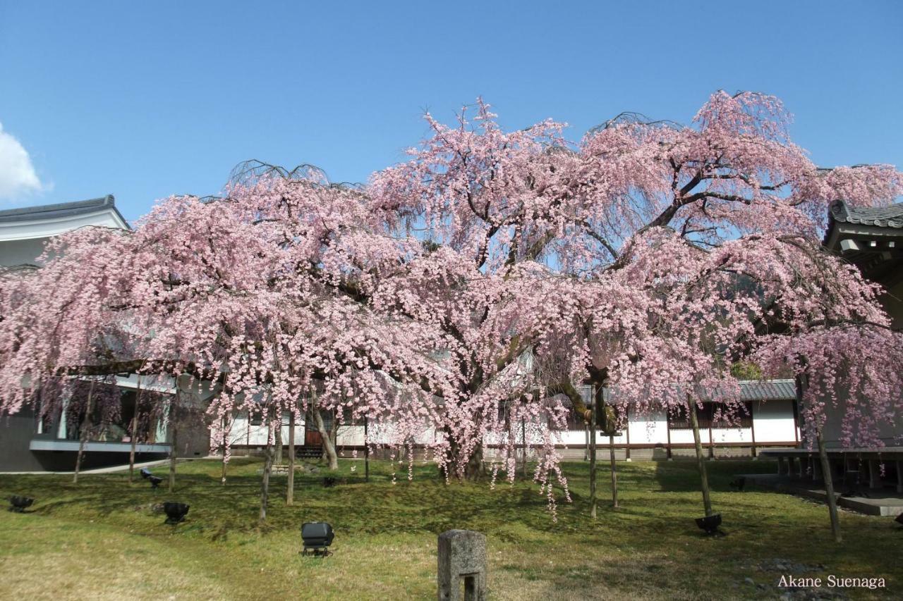 Kyoto Home Tofukuji Esterno foto